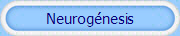 Neurog�nesis