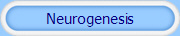 Neurogenesis