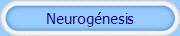Neurog�nesis