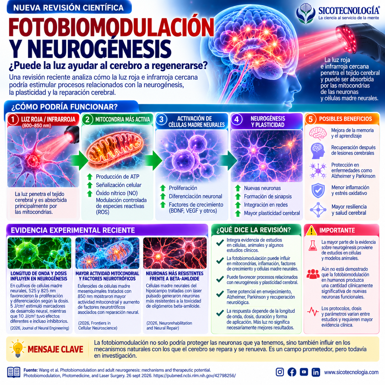 Novedad científica destacada