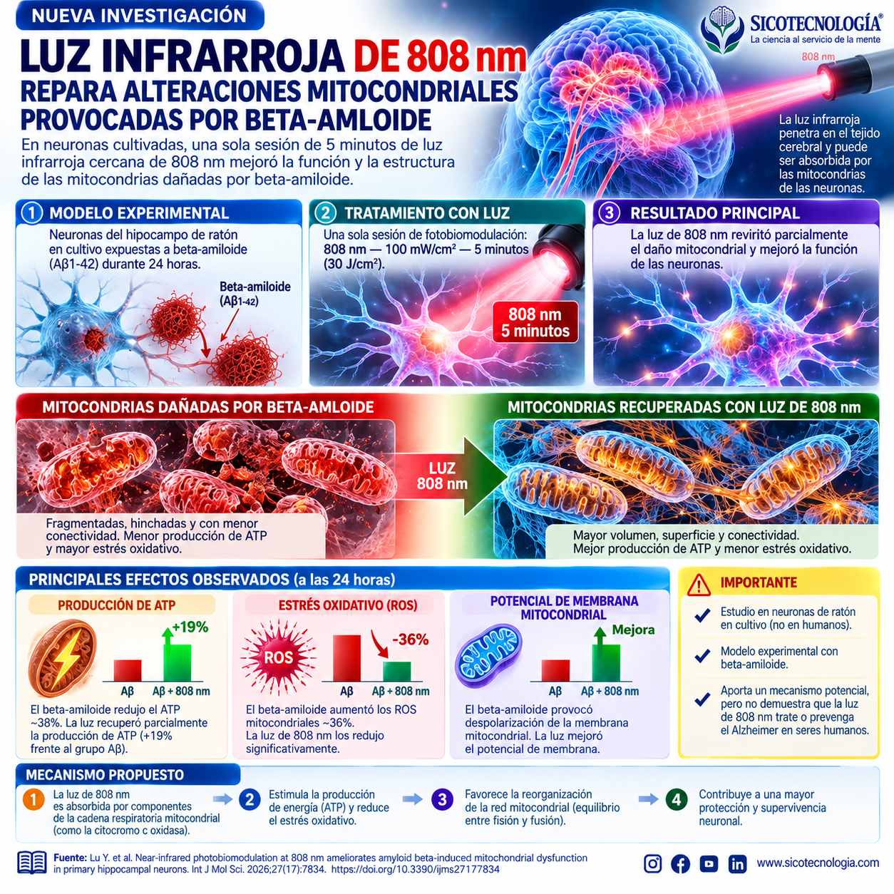 Novedad científica