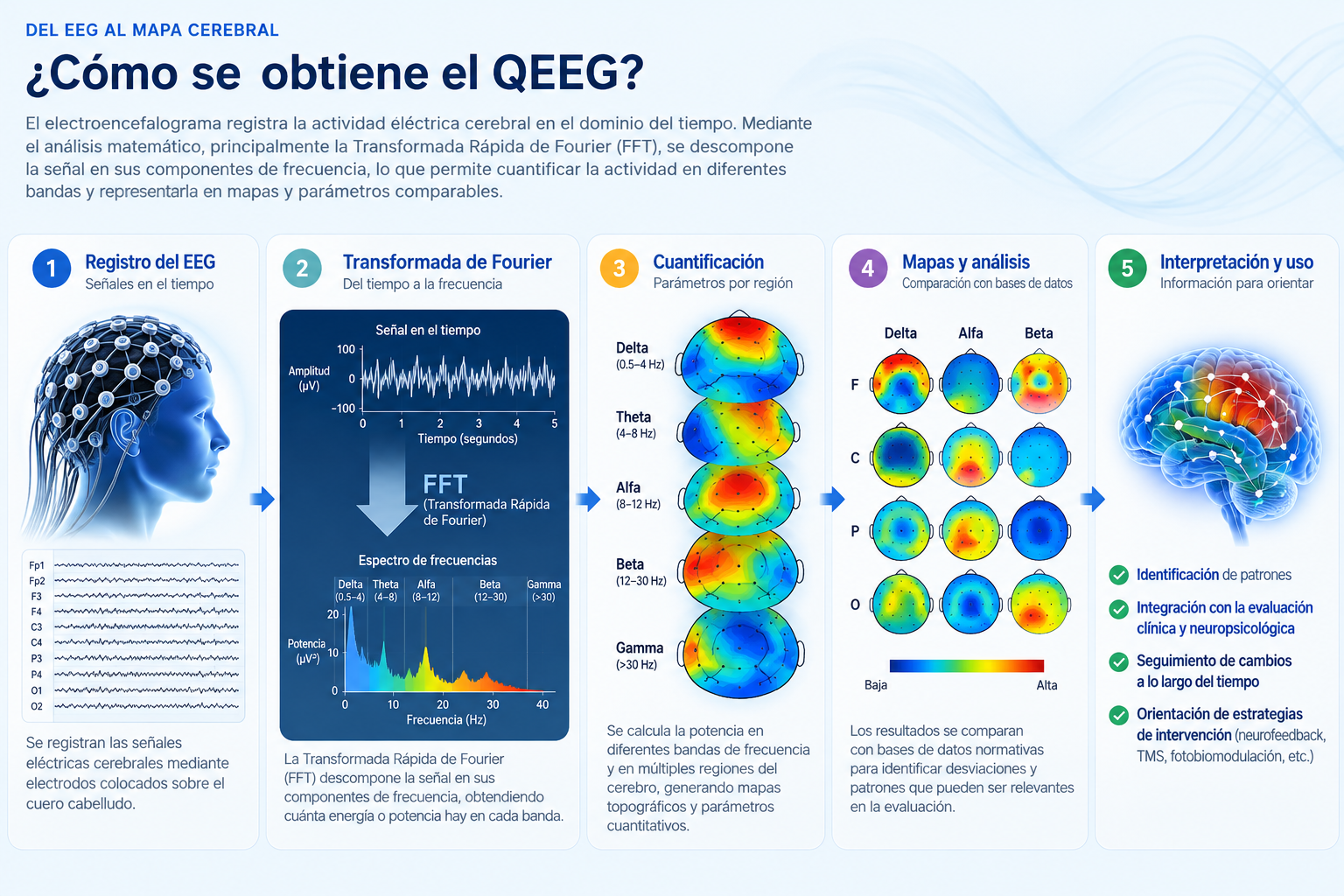 Proceso de transformación del EEG mediante FFT en espectros de frecuencia y mapas QEEG